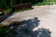 выкса.рф, На улице Лесозаводской вновь зафиксирована стихийная свалка